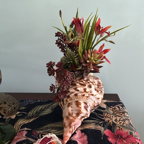 Shell Art Triton Trumpet Shell Faux Floral Planter Decor - Picture 4 of 10